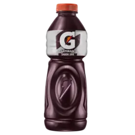 Isotônico Gatorade Sabor Uva 500ml
