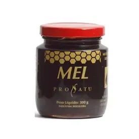 Composto de Mel e Extrato de Própolis Sabor Abacaxi 300g